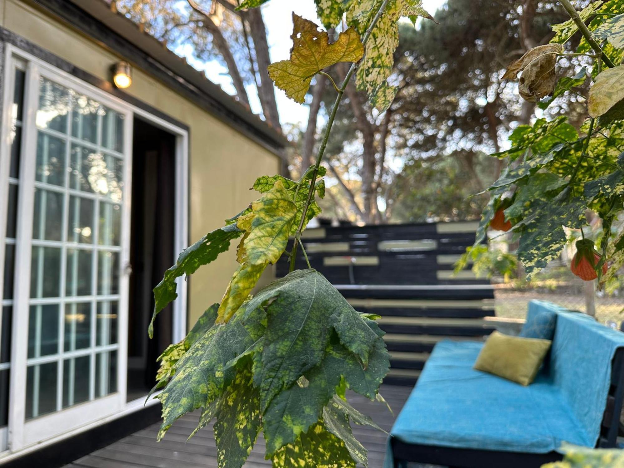 Eco-Friendly Beach House Sesimbra Exterior photo